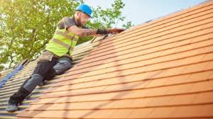 Best Solar Panel Roofing Installation  in Bridgeport, TX