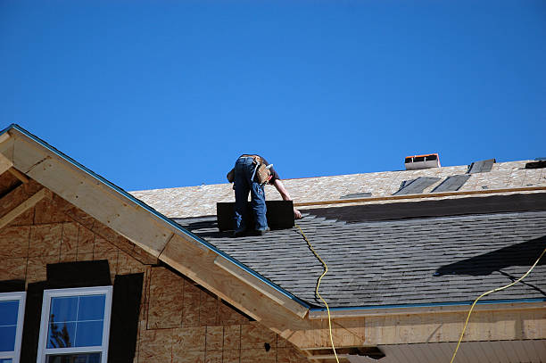 Best Roof Moss and Algae Removal  in Bridgeport, TX