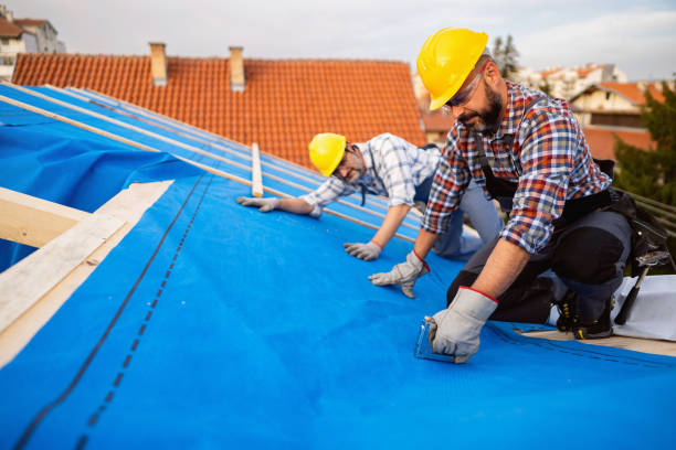Best Chimney Flashing Repair  in Bridgeport, TX