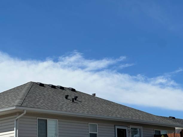 Best Solar Panel Roofing Installation  in Bridgeport, TX
